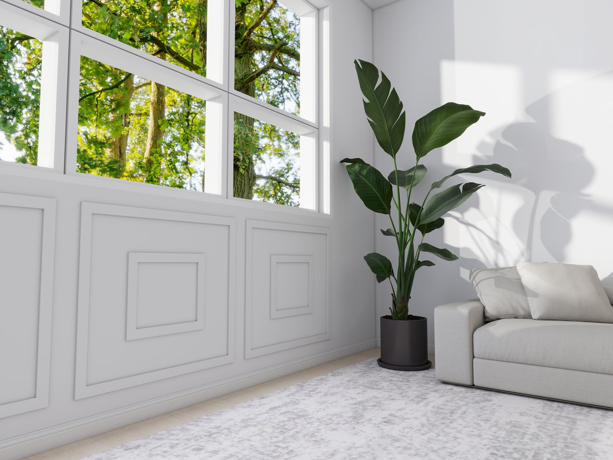 Infinito Sierlijst Muur Plafondlijst - 270 x 5 cm - Wit